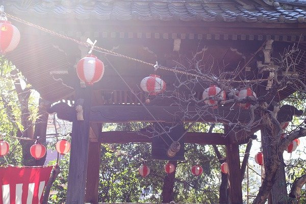 Jinko-ji Temple-文京区必去景点
