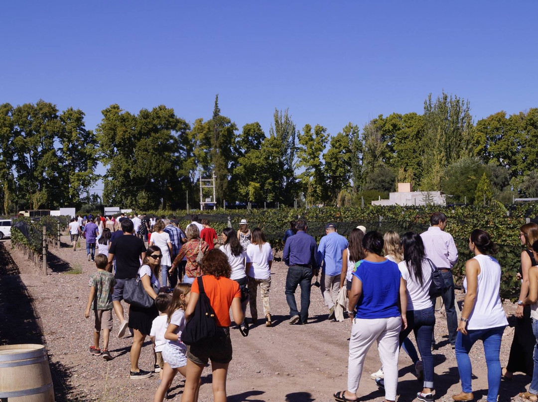 Bodega Mauricio Lorca
