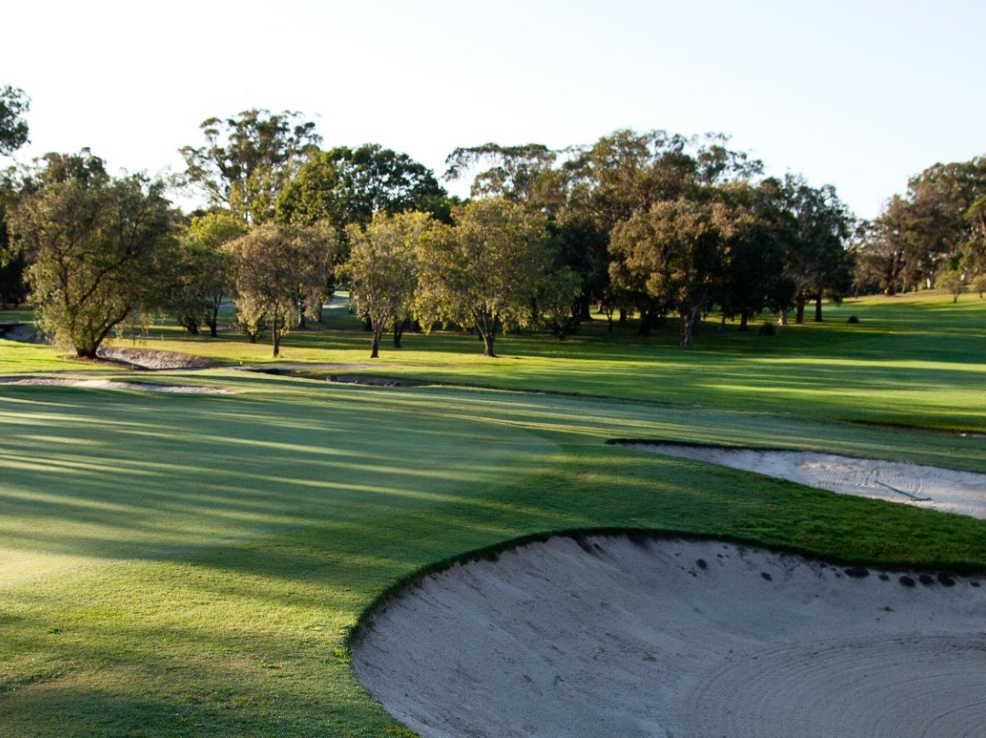 Coffs Harbour Golf Club景点图片