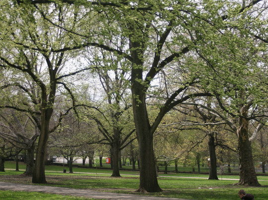 Allegheny Commons Park-匹兹堡必去景点