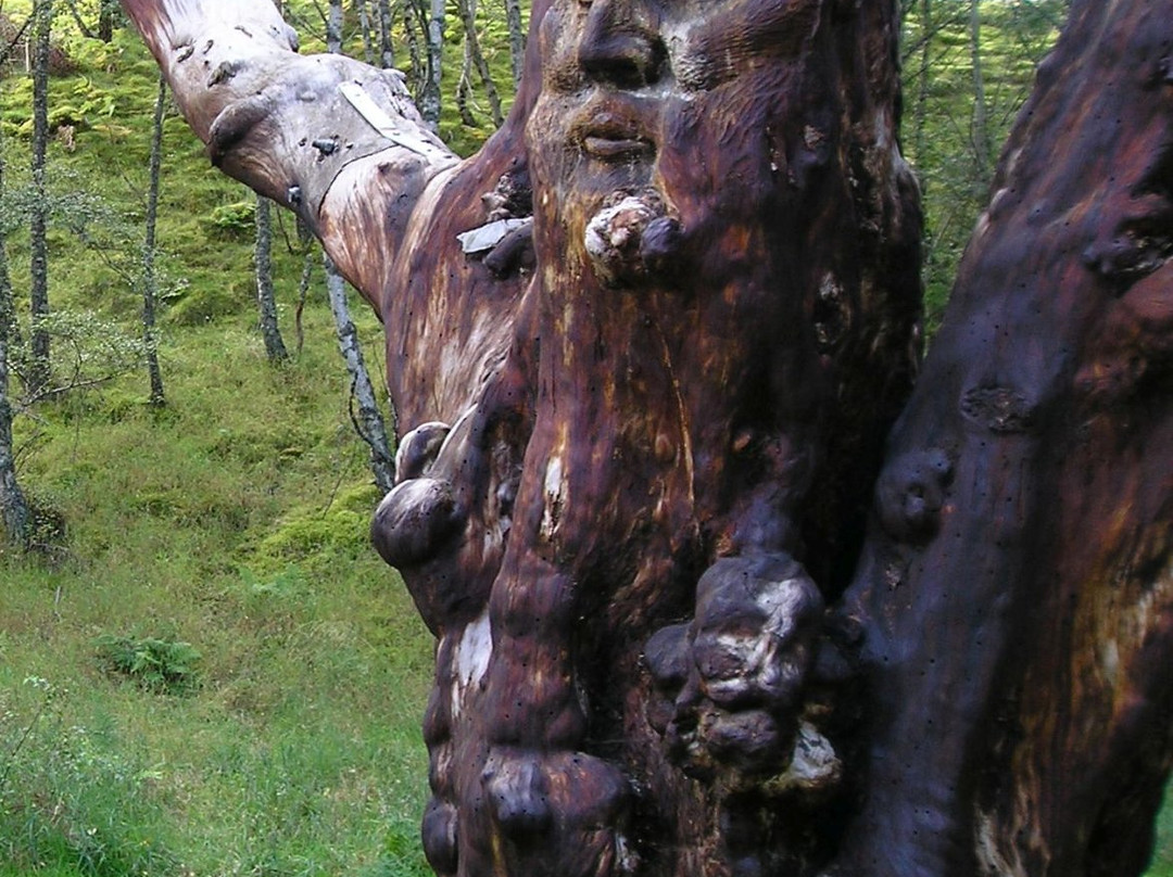 Frank Bruce Sculpture Trail景点图片