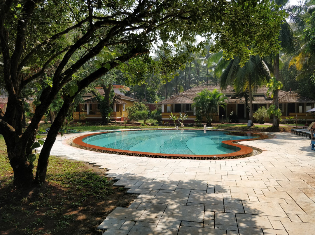 Granpa's Inn Hotel Bougainvillea主图