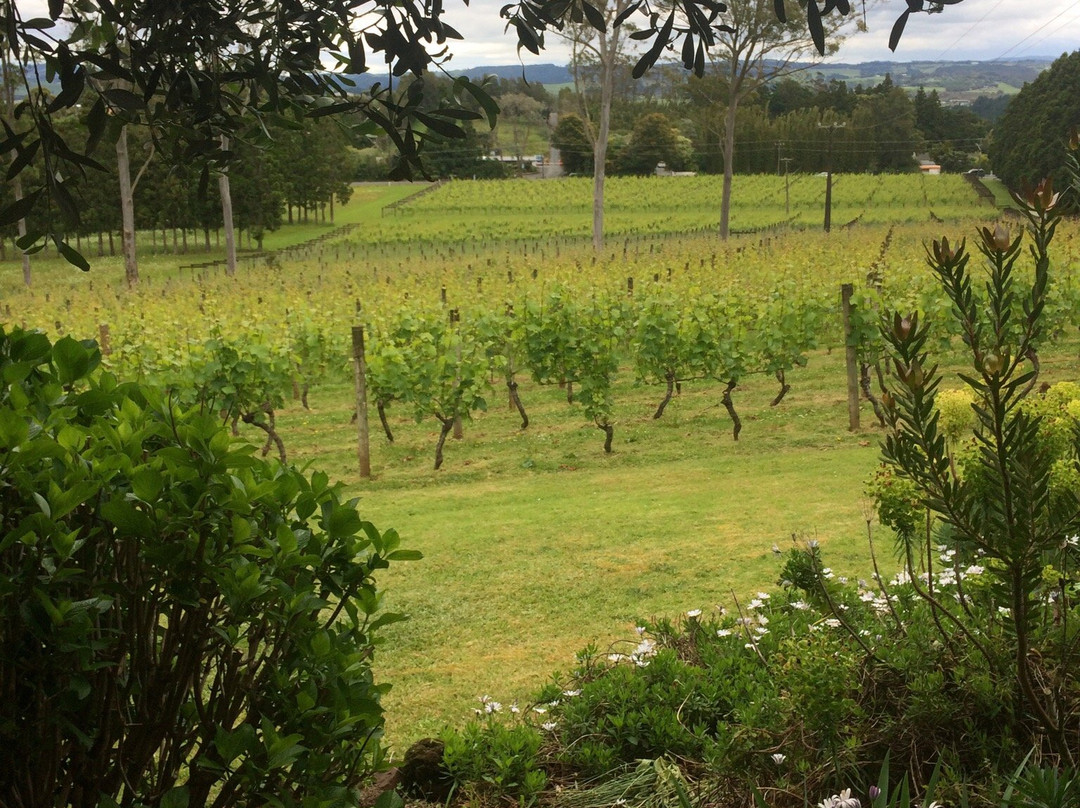 Cottle Hill Winery景点图片