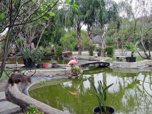 Buu Mon Buddhist Temple-Port Arthur必去景点