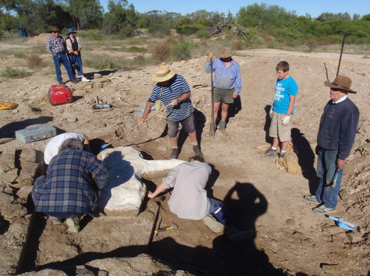 Richmond旅游景点-Richmond Fossil Hunting Sites