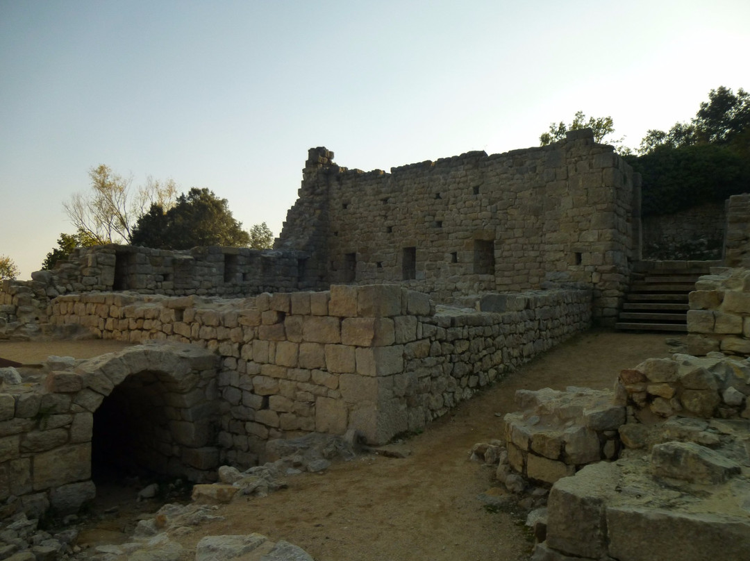 Monestir de Sant Llorenc de Sous景点图片
