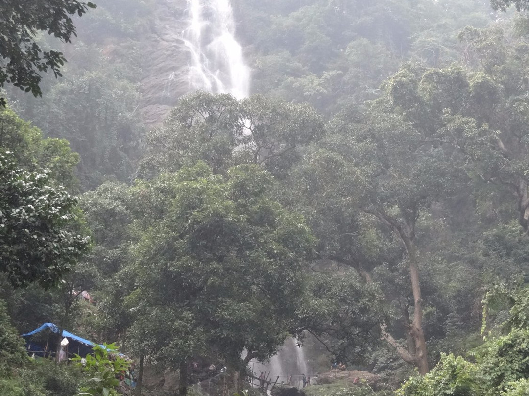 Katiki Falls景点图片