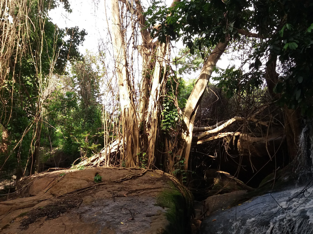 Tamale旅游攻略图片