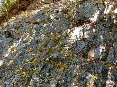 Coal Outcrop-夕张市必去景点