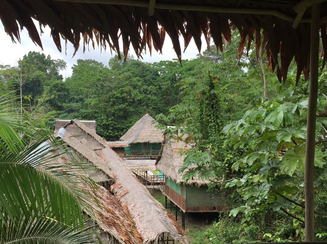 Wimba Tours & Lodge-伊基托斯必去景点