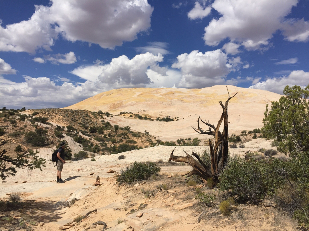 Yellow Rock Trail-卡纳布必去景点