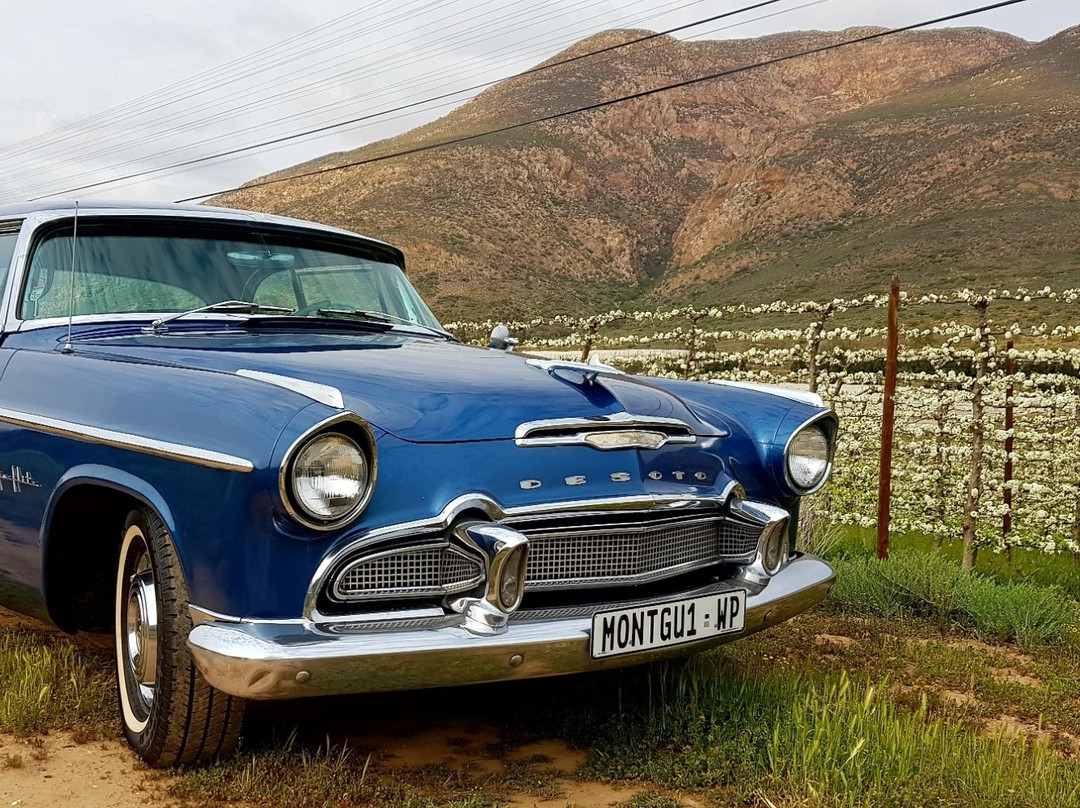 American Dream Cars-蒙提古必去景点