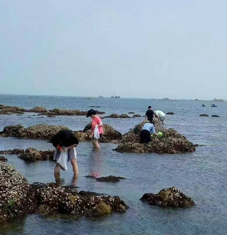 东楮岛-荣成市必去景点