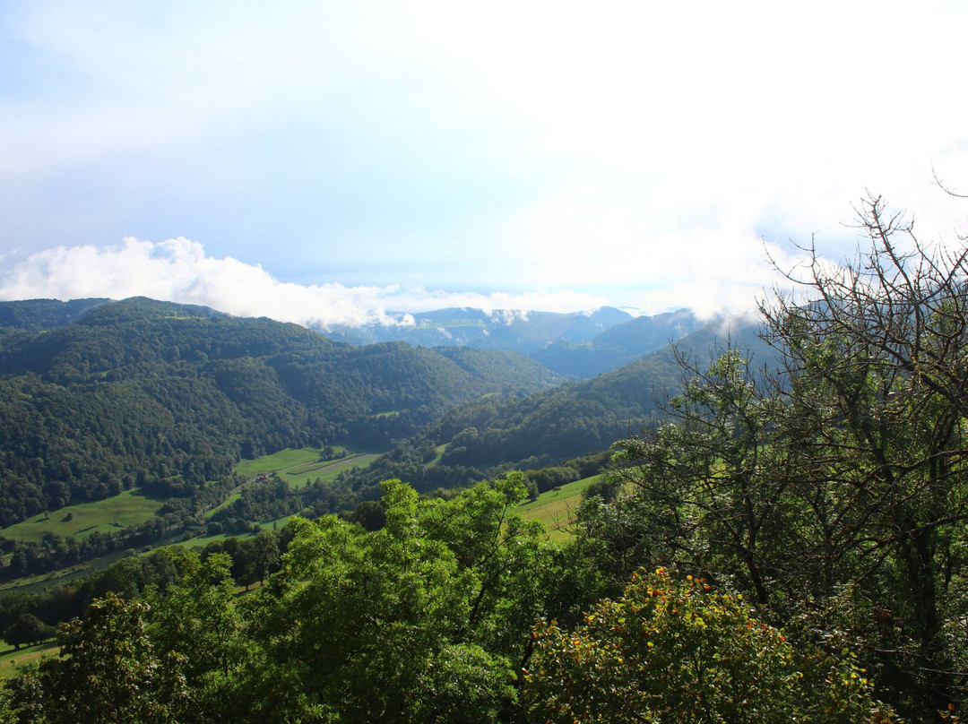 Observation Tour Faux d’Enson-Roche-d'Or必去景点