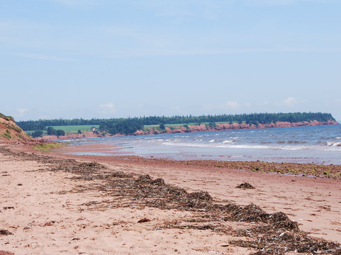 Sally's Beach Provincial Park-Montague必去景点