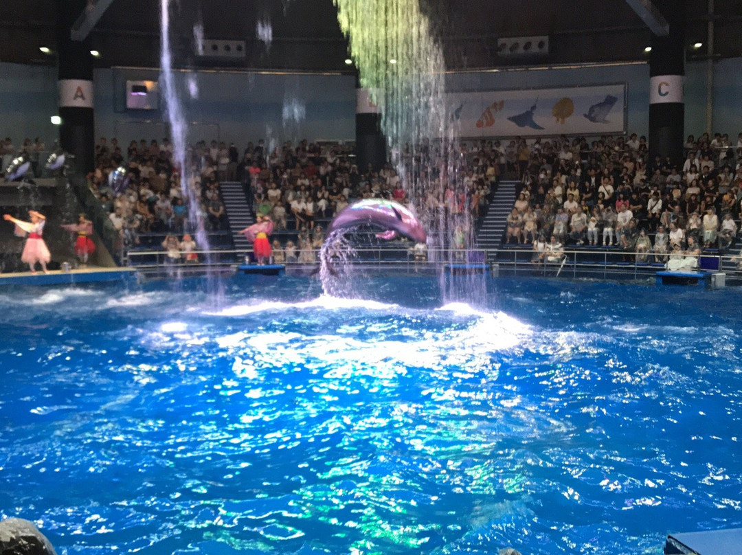 Aqua Park 品川水族馆景点图片