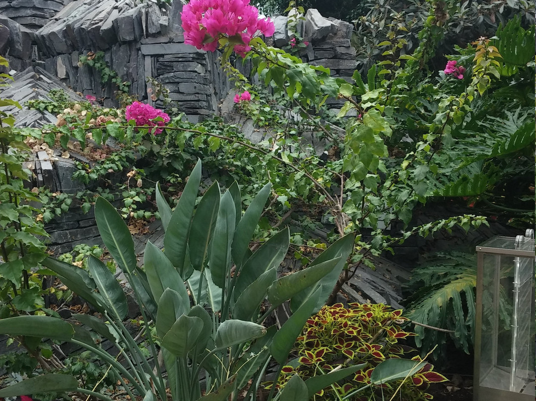 Jephsons Glasshouse-皇家利明顿温泉必去景点