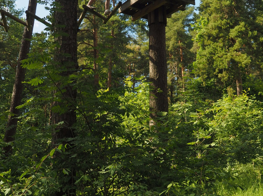 Pirita Adventure Park-塔林必去景点