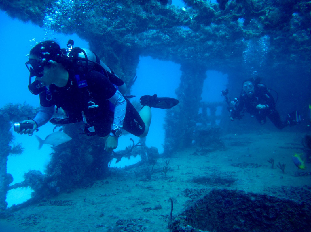 Yucatan Cenotes Mexico-里维埃拉玛雅必去景点