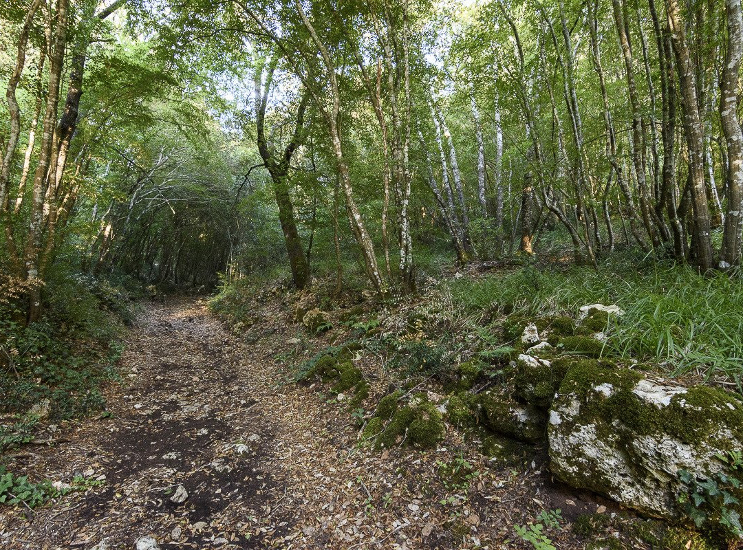 Bosco delle Pianelle Natural Reserve景点图片