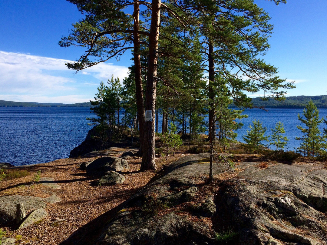 null-Arvika