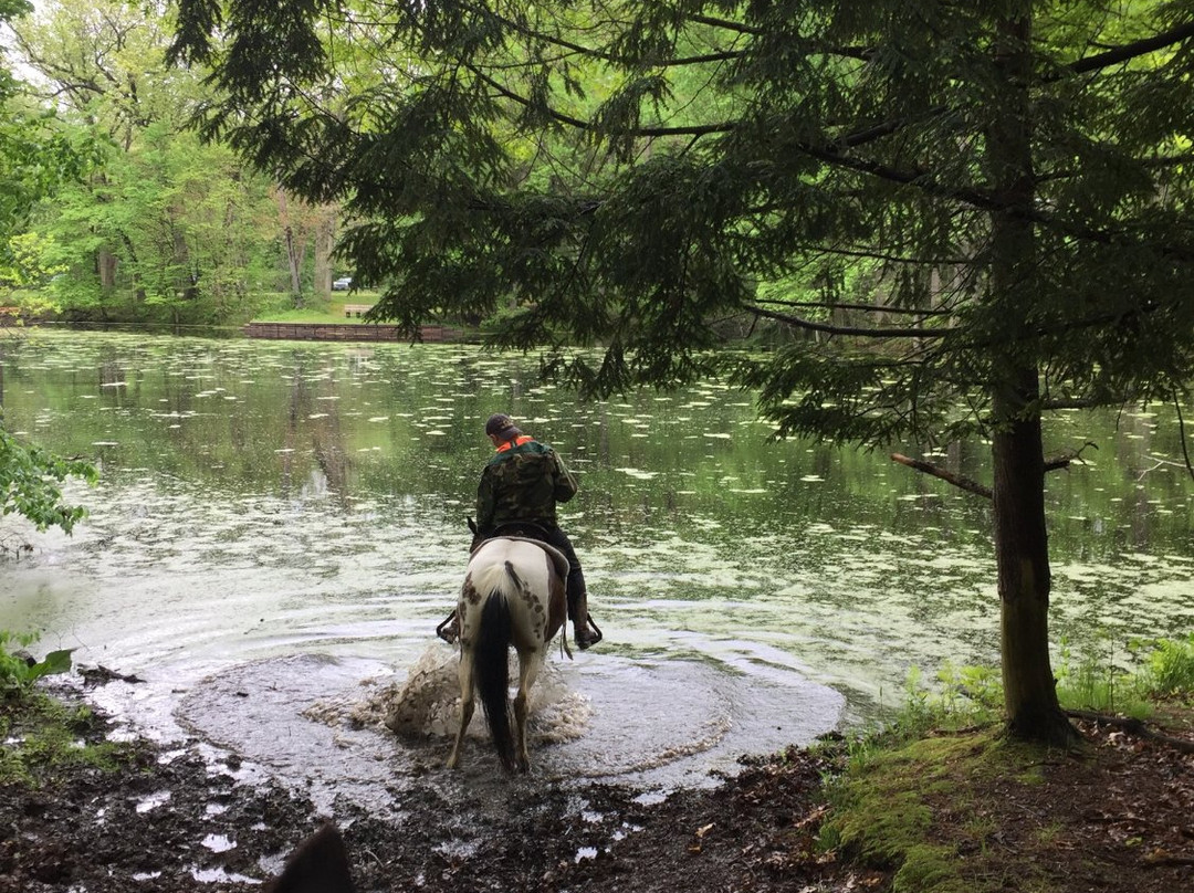 Oak Openings Preserve-托莱多必去景点