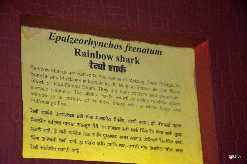 Ratnagiri Marine Musuem景点图片