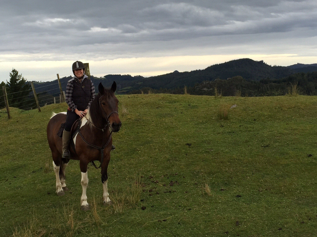 Rangihau Ranch-Coroglen必去景点