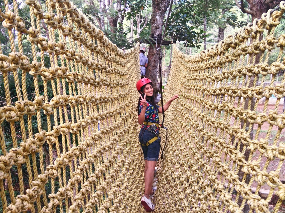 Grange TreeTop Adventure景点图片