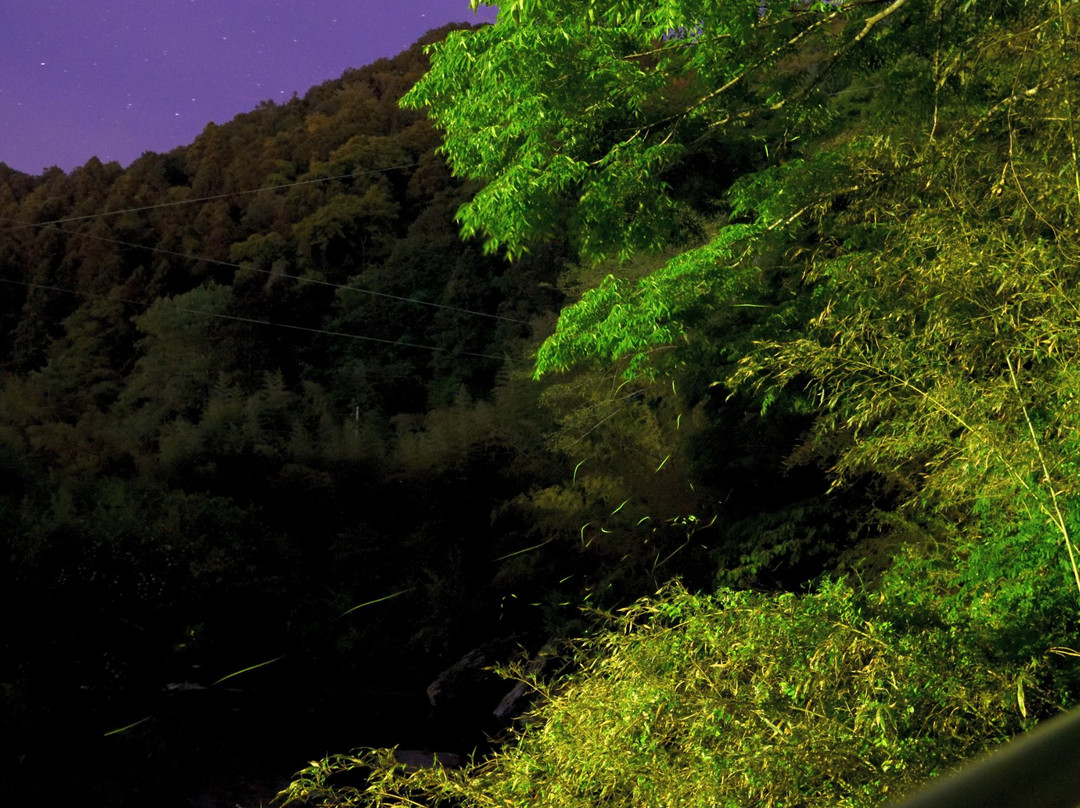 德岛县旅游景点-Yoshinogawa City Misato Firefly Center