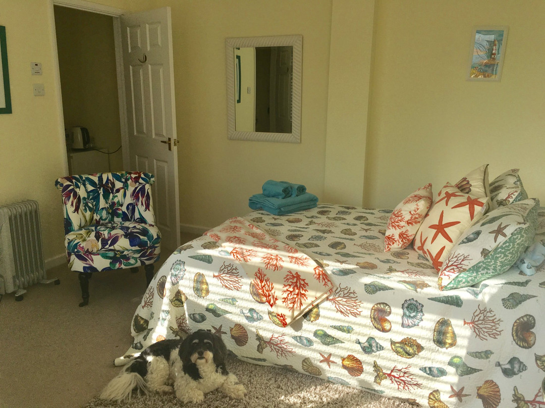 Mill House B & B Felpham主图