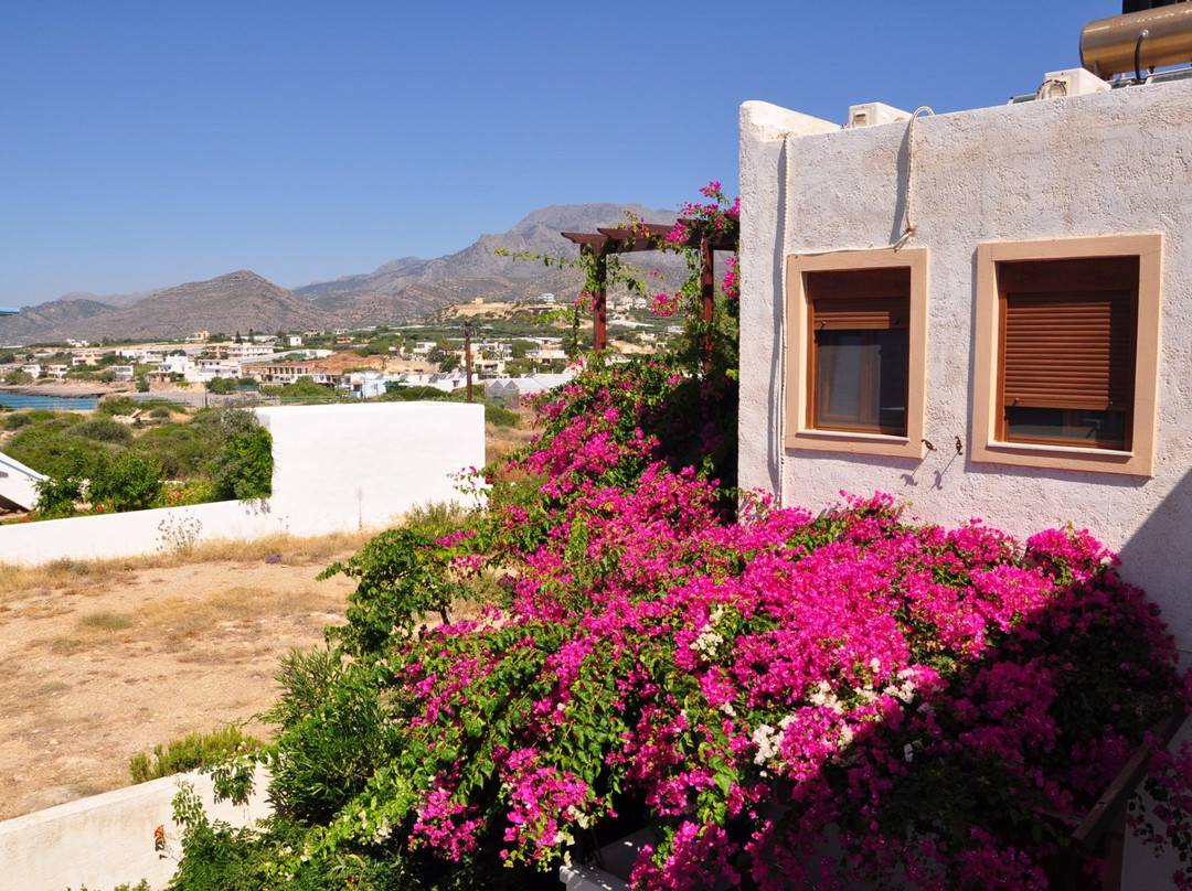 Akrotiri Apartments