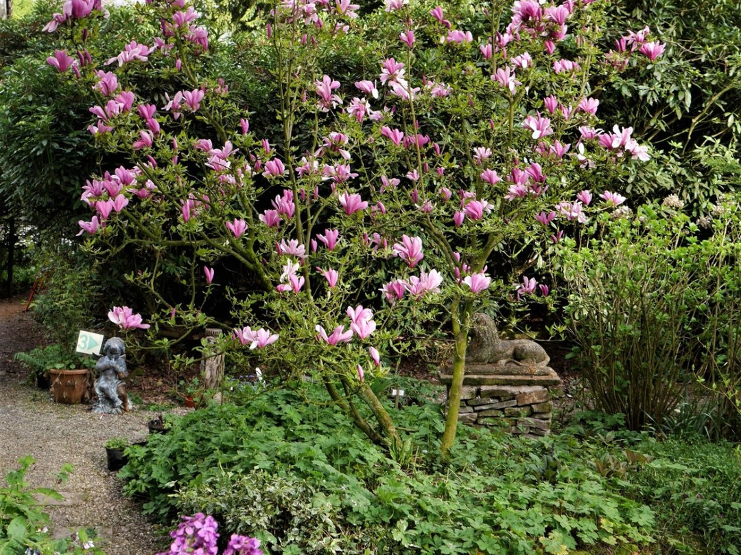 The Ridges Gardens-乔利必去景点