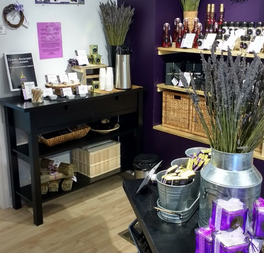 Pelindaba Lavender Amelia Island-阿米莉亚岛必去景点