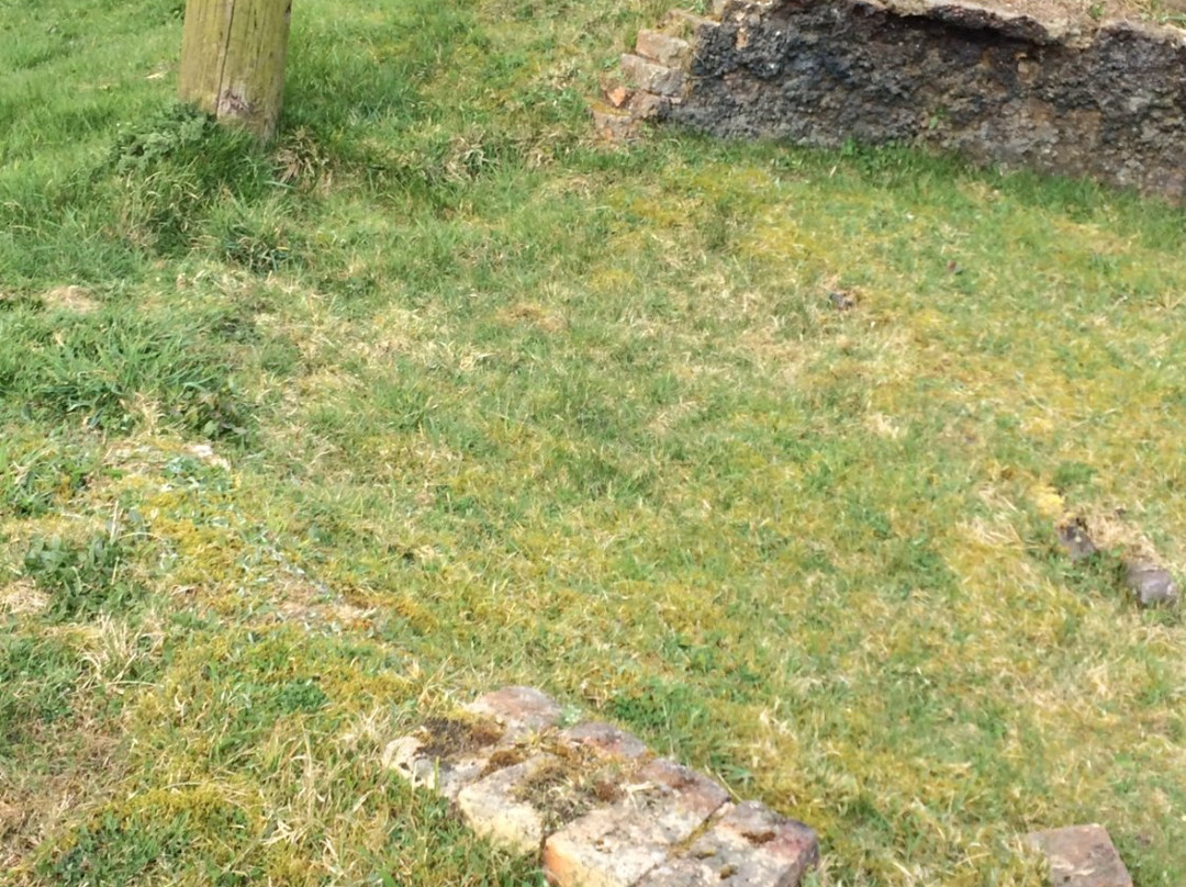 Inkerman Beehive Coke Ovens-Tow Law必去景点