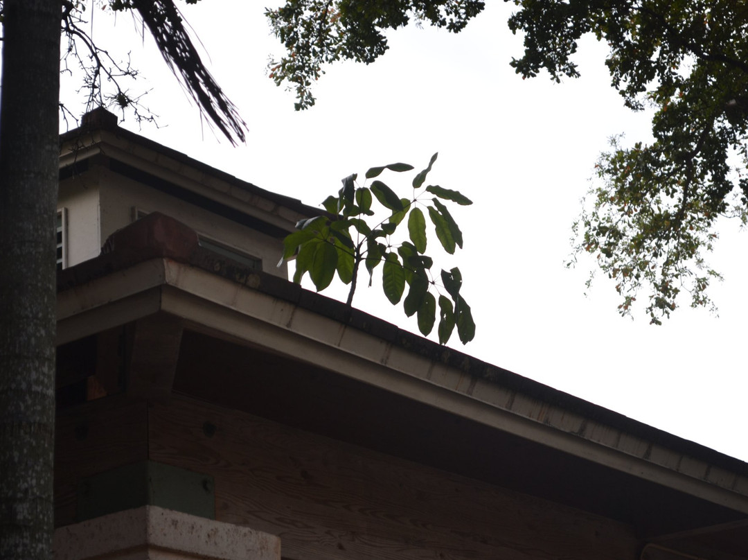 Philips Park-科勒尔盖布尔斯必去景点