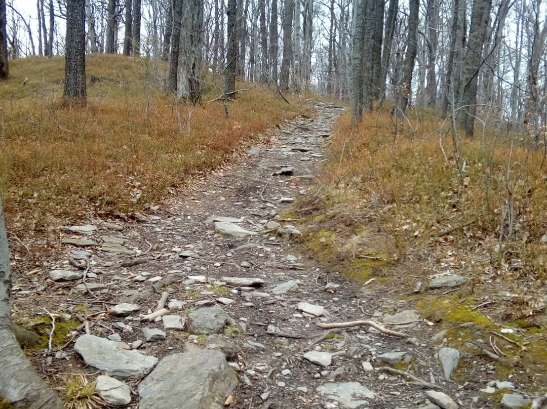 Opawskie Mountains景点图片