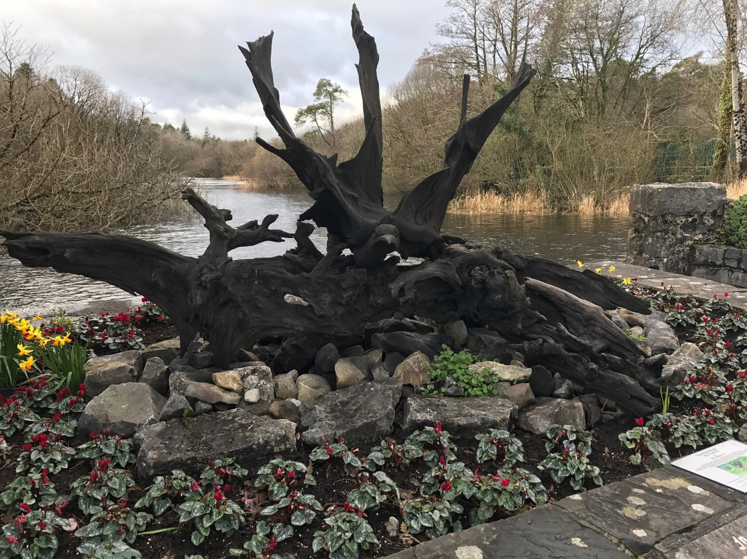 Bog Oak Sculpture-康镇必去景点