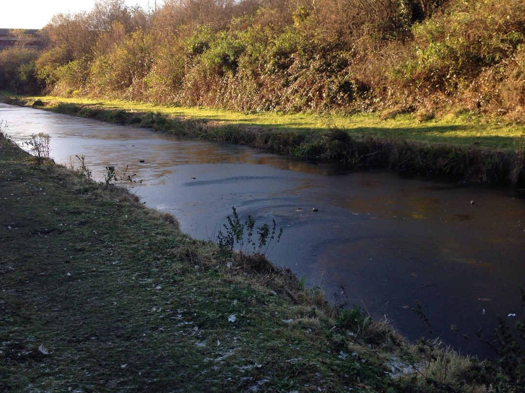 Neath &Tennant Canals Trust Boat Trips景点图片