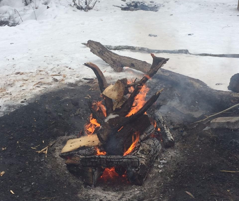 Vyazemsky旅游攻略图片