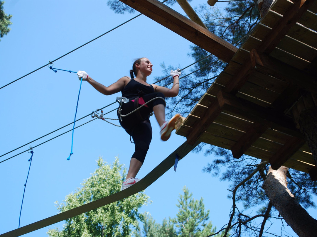 Hallikivi Adventure Park-Saaremaa必去景点