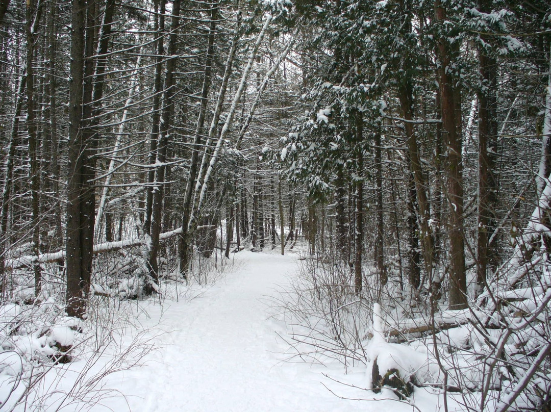 Parc du Bois-Beckett-舍布鲁克必去景点