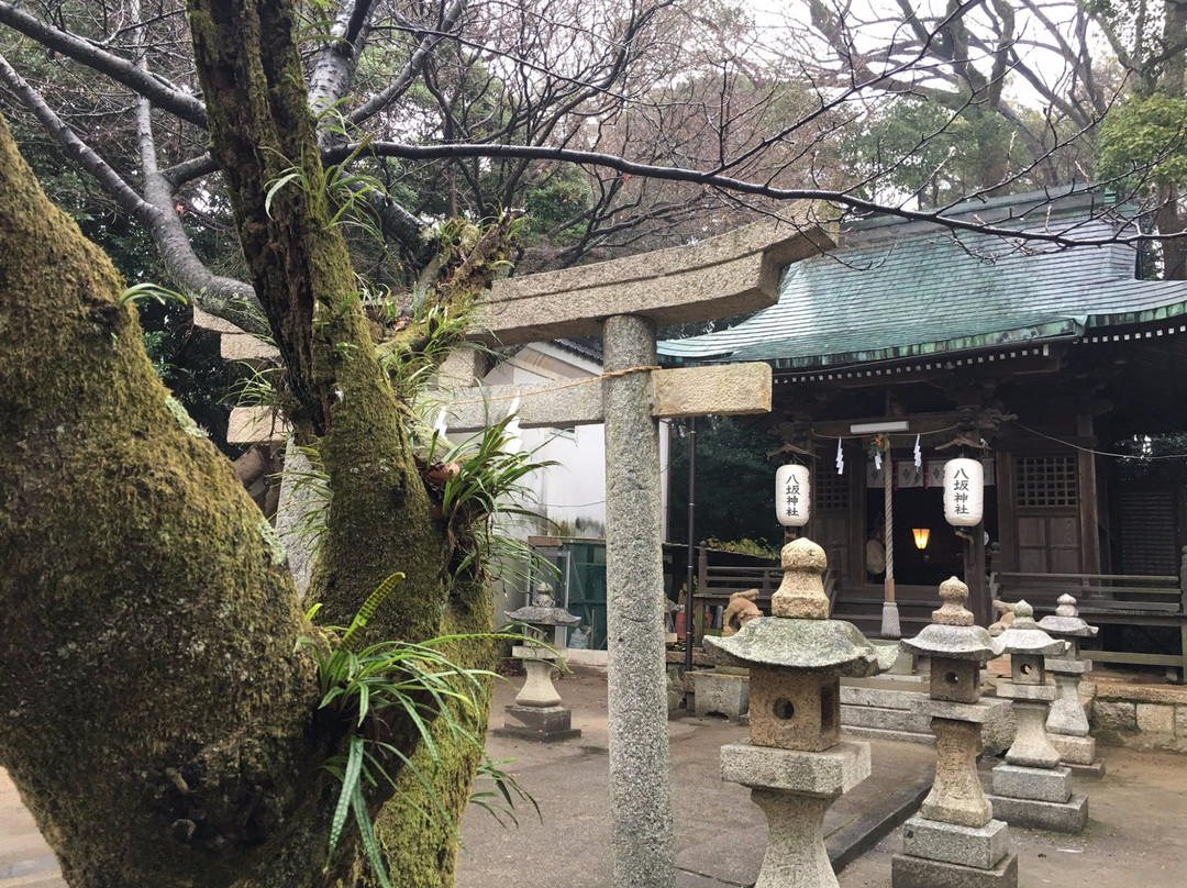 Iminomiya Shrine-下关市必去景点