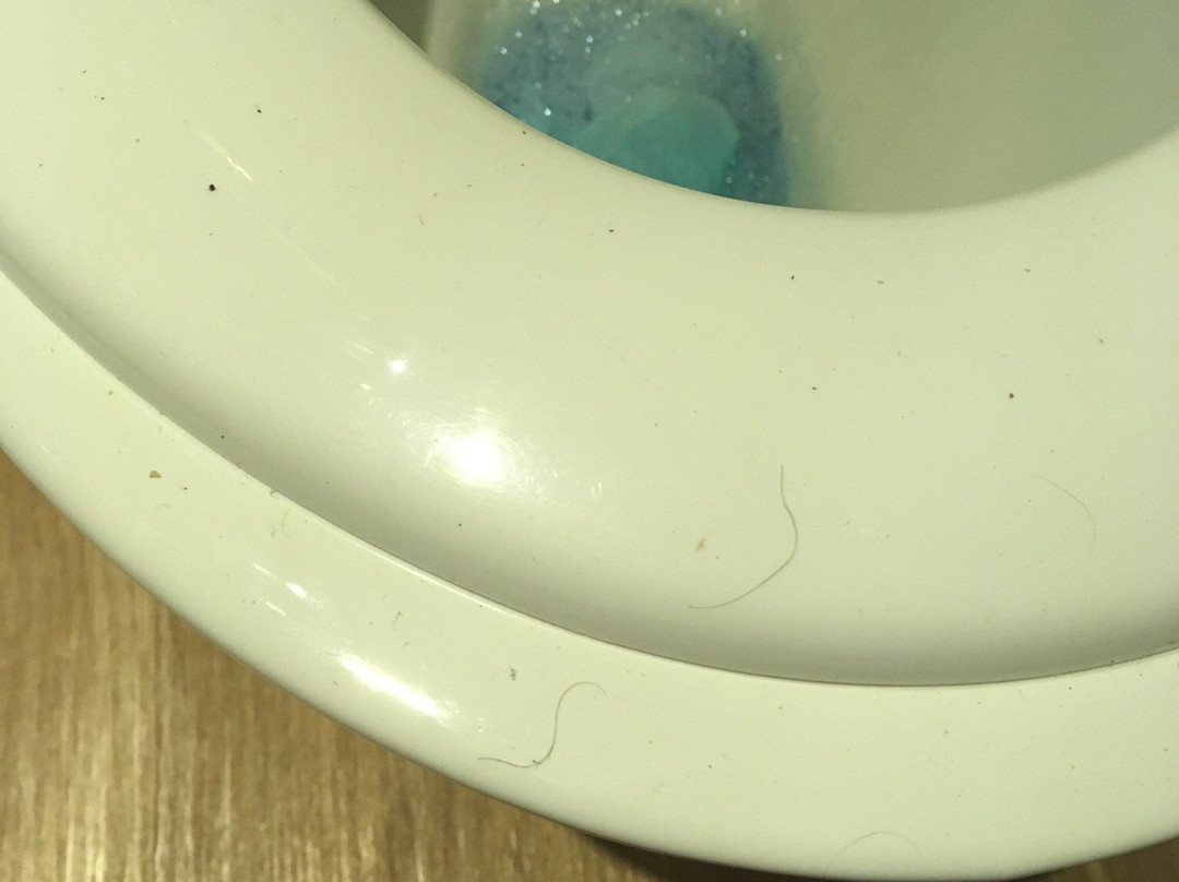 The Castle / Y Castell Pwllheli主图