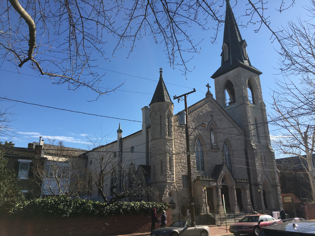 The Basilica of Saint Mary-亚历山德里亚必去景点