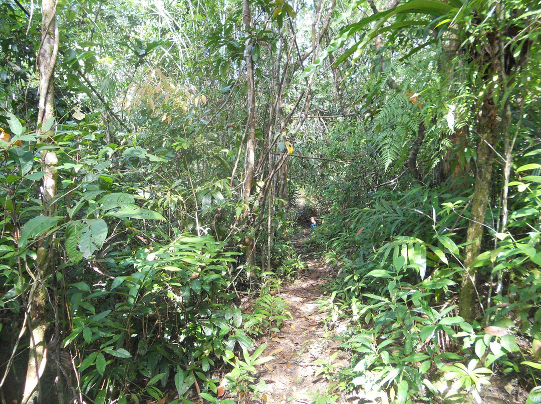 Koh Kong Wonders & Excursions景点图片