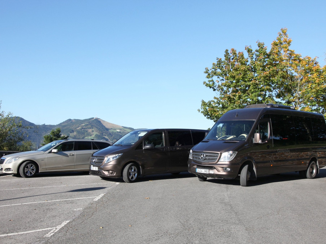 Servicios Turisticos Integrales - Day Tours景点图片