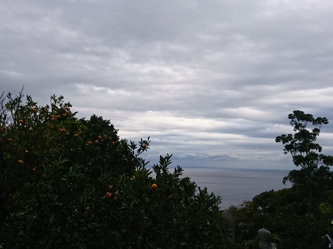 Matsumoto Farm-真鹤町必去景点