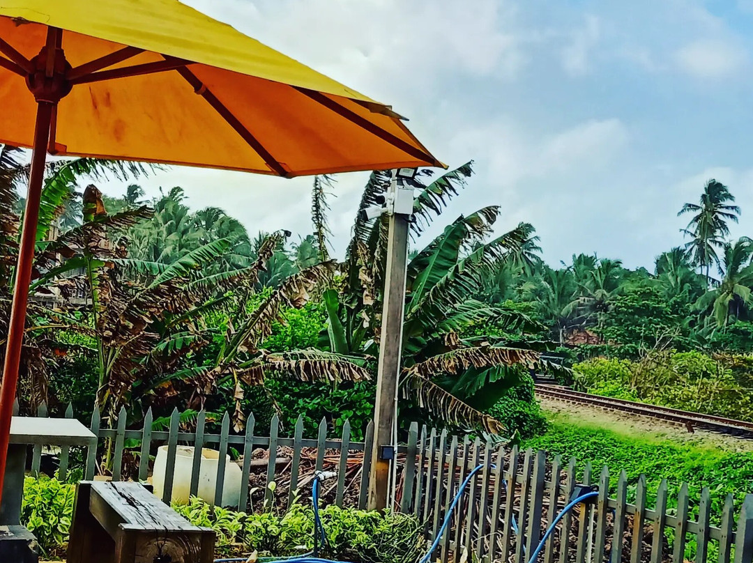 Hikka Bridge Cafe & Restaurant