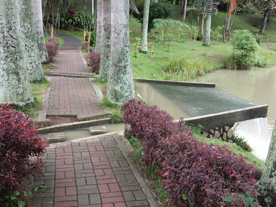 Parque de la Babilla-卡利必去景点